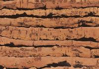 Пробковый пол Corkstyle Natural Cork Tigre